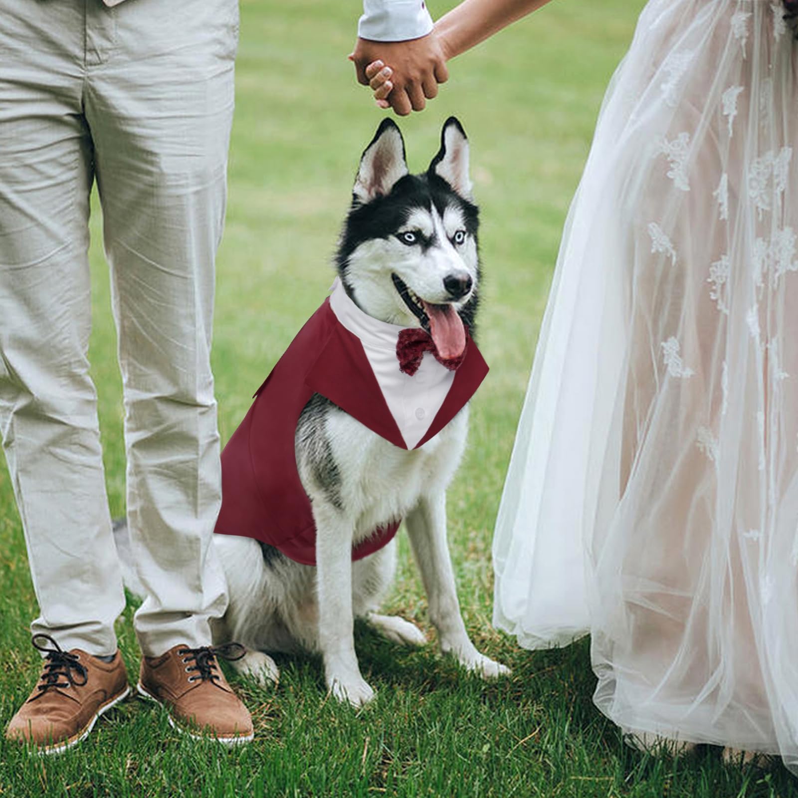 Kuoser dog tuxedo size table helps you pick the right fit.