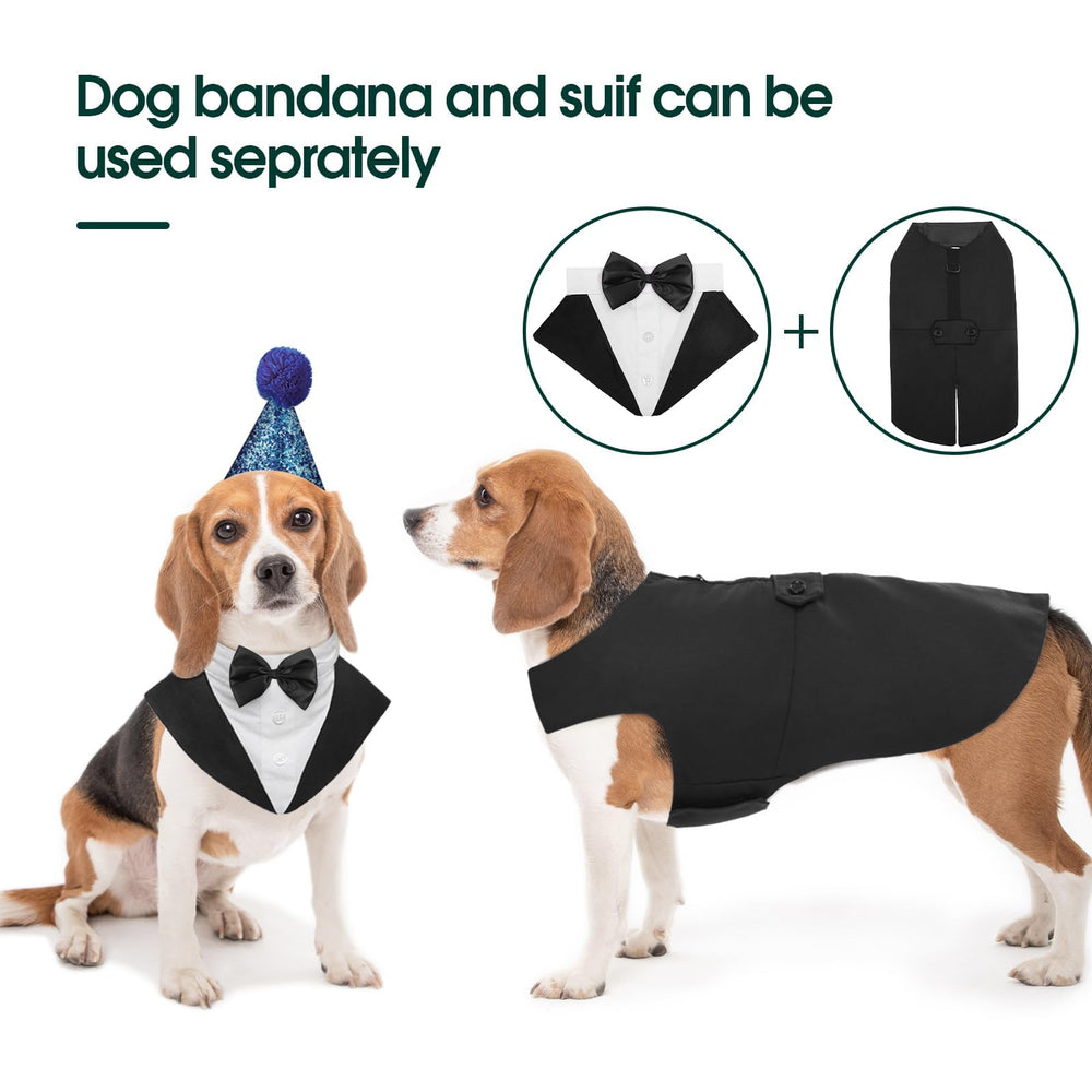 Kuoser tuxedo on a dog at a wedding for a formal look.