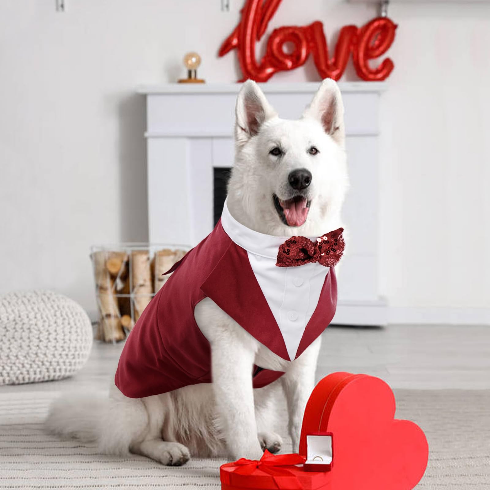Kuoser dog tuxedo wedding-ready look captures festive moments.