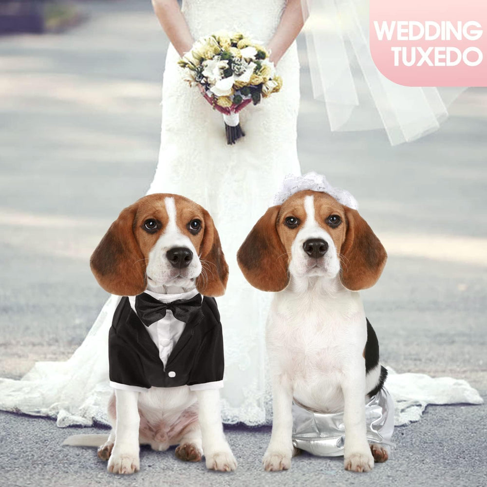 Kuoser dog tuxedo worn on a dog demonstrates comfortable wearing