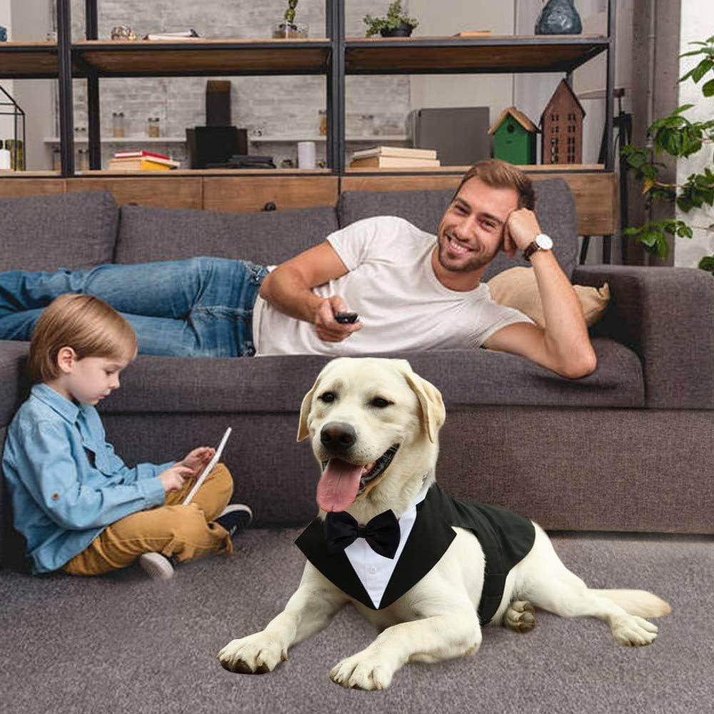 Kuoser dog wedding look—perfect for weekend party or ceremony.