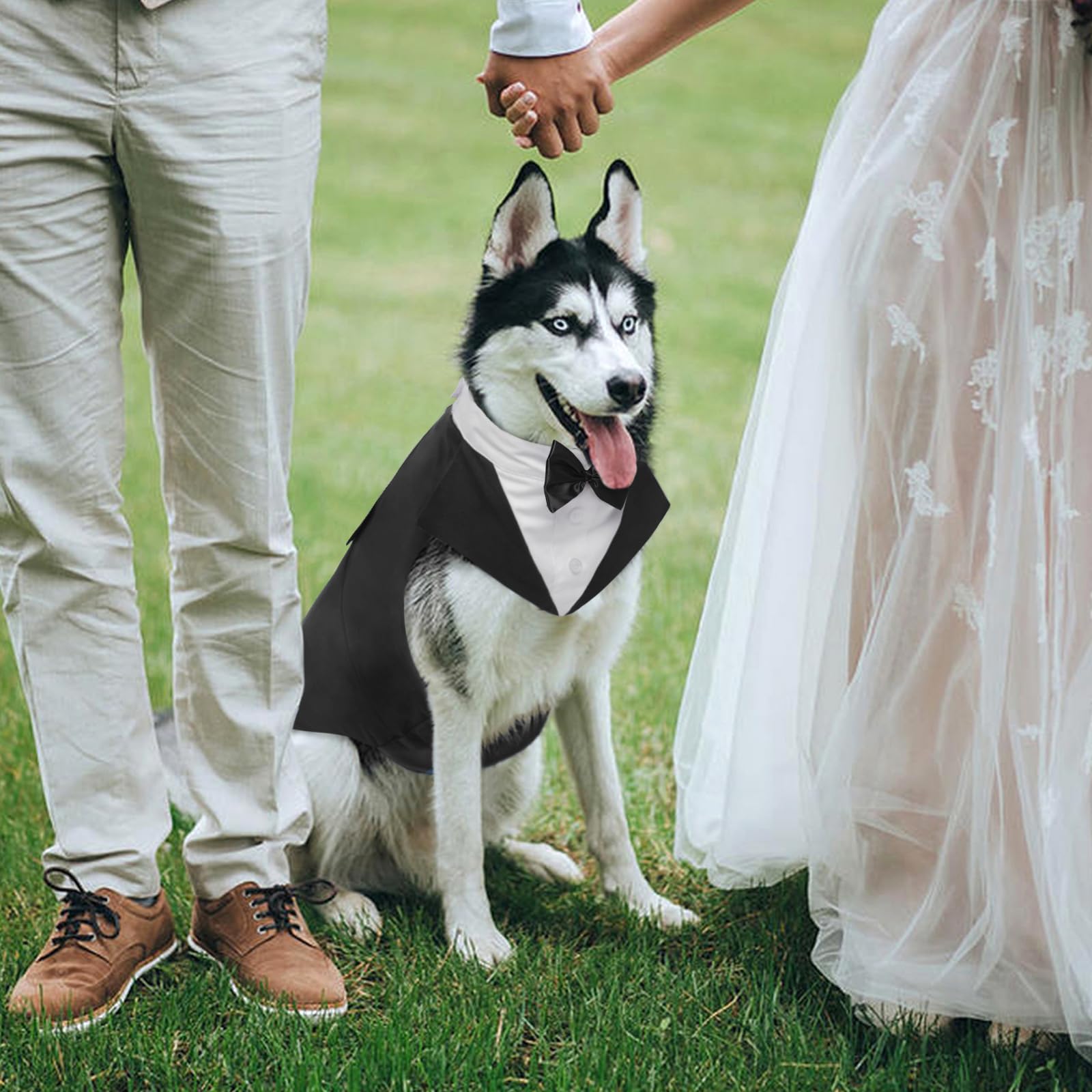 Kuoser dog wedding party outfit ready-to-wear for special events and photos.