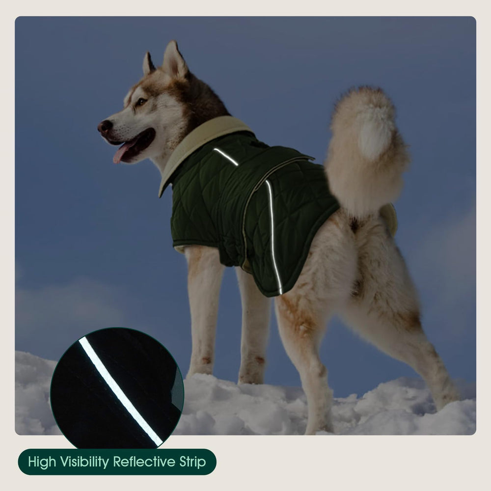 Kuoser dog winter coat model wearing green shows easy-on-off design for quick dressing.