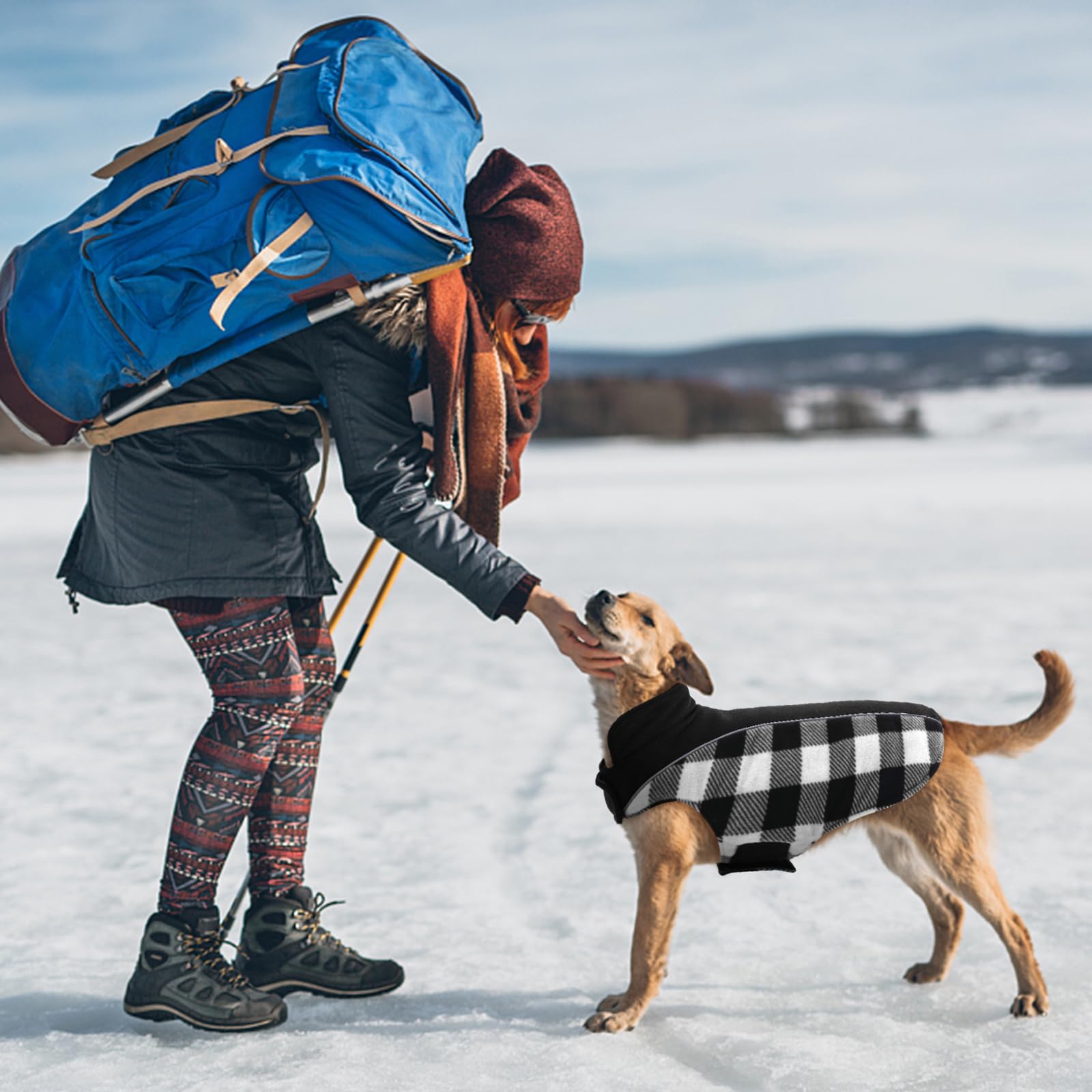 Kuoser dog winter coat on a dog showing plaid style for holiday photos.