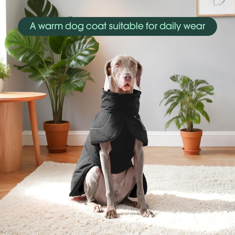 Kuoser large-dog wear demonstrates durable warmth during outdoor adventures