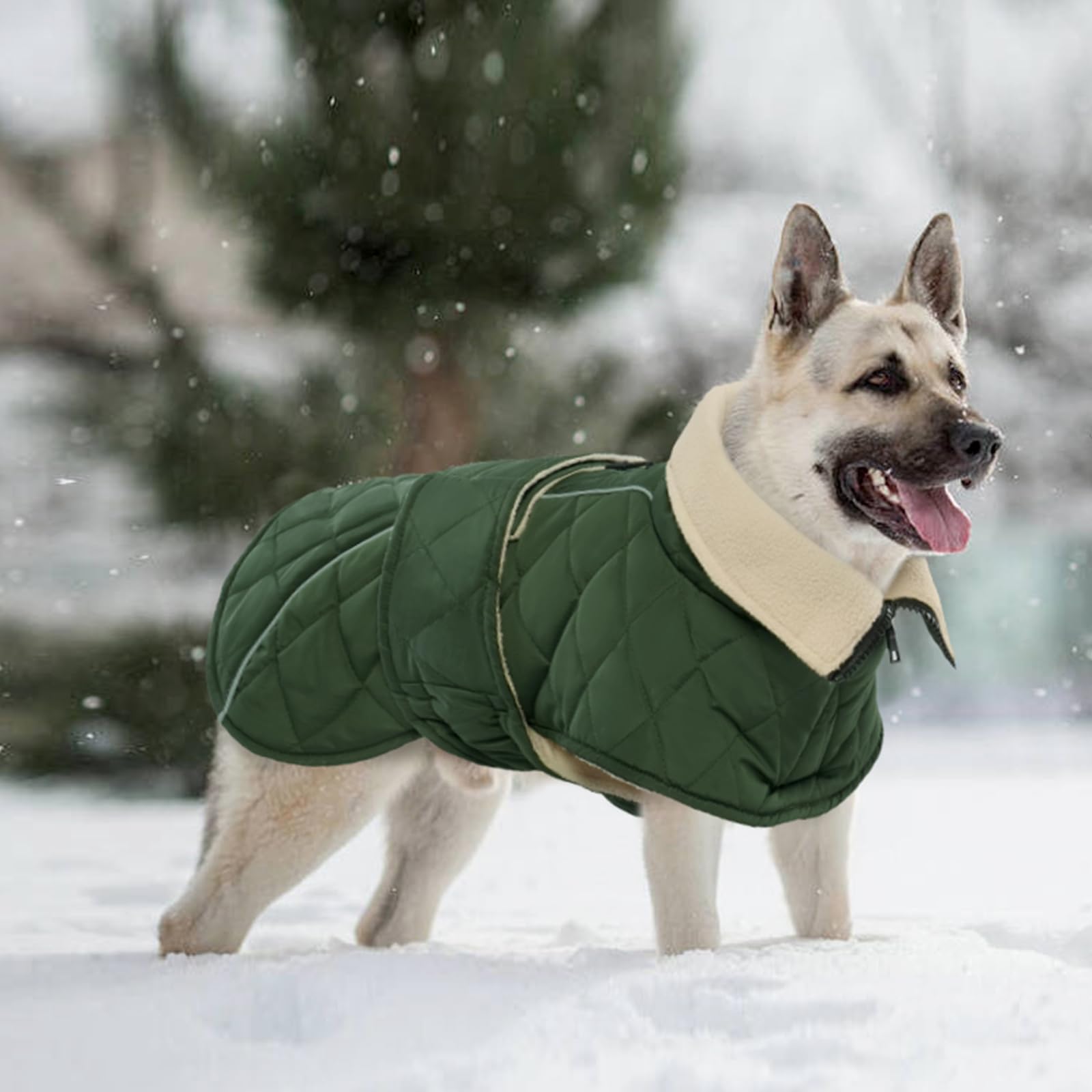 Kuoser dog winter coat model wearing green highlights versatile, practical outerwear for winter.