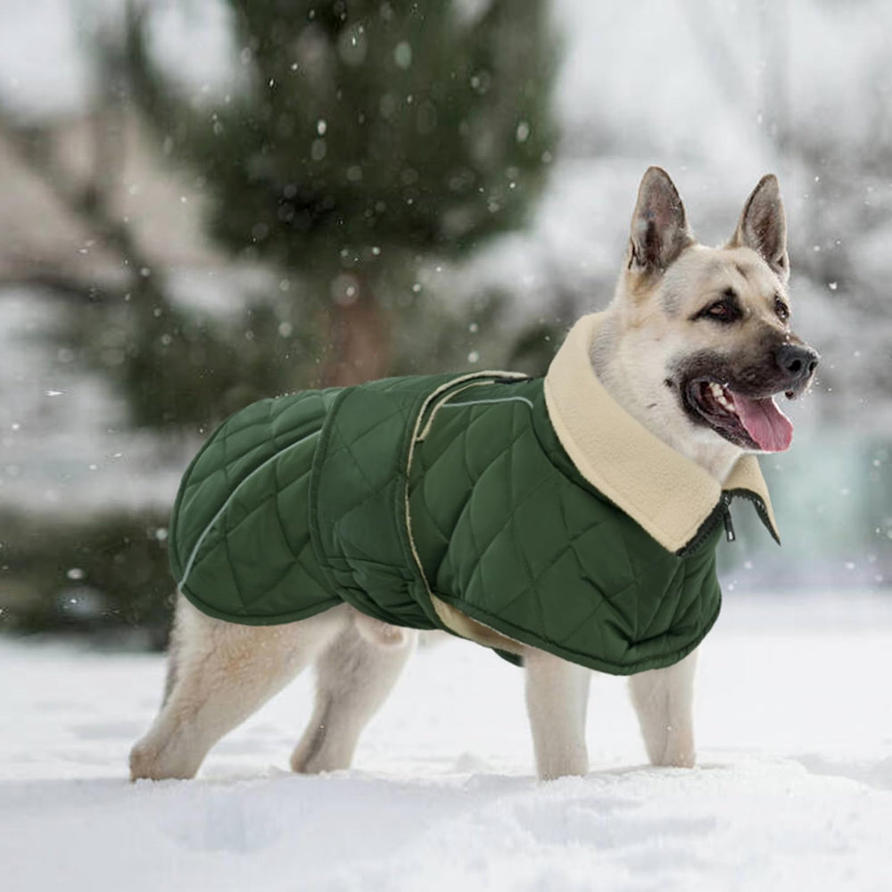 Kuoser dog winter coat model wearing green highlights versatile, practical outerwear for winter.