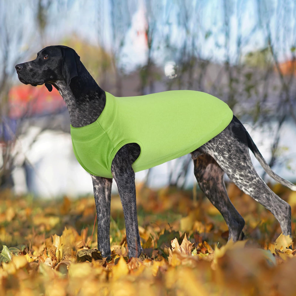 Kuoser fleece dog sweater large green packaging—ready-to-ship cozy winter option.