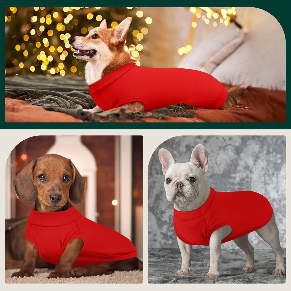 Kuoser winter-ready dog coat adds cozy layer for chilly days.