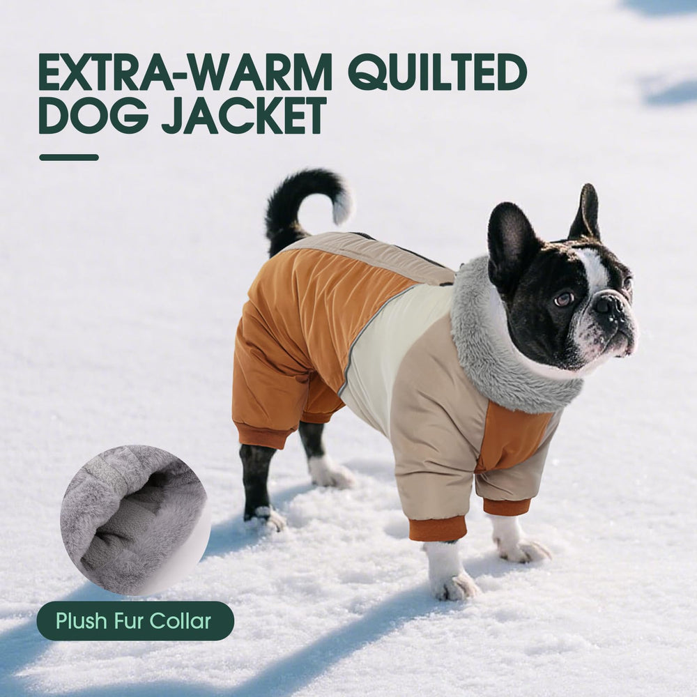 Kuoser Fullbody double-d-ring-leash-attachment confirms secure harness connection.
