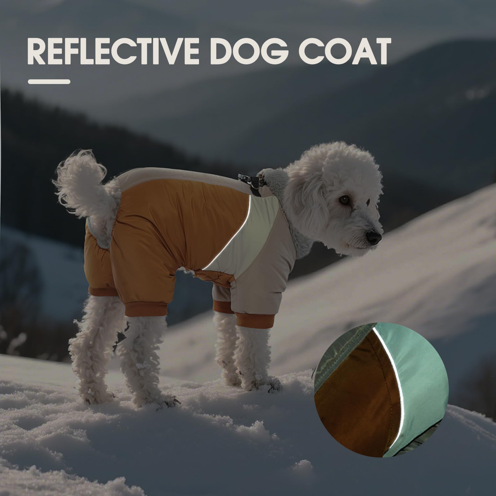 Kuoser Fullbody size-guide image helps choosing the right fit for small breeds.