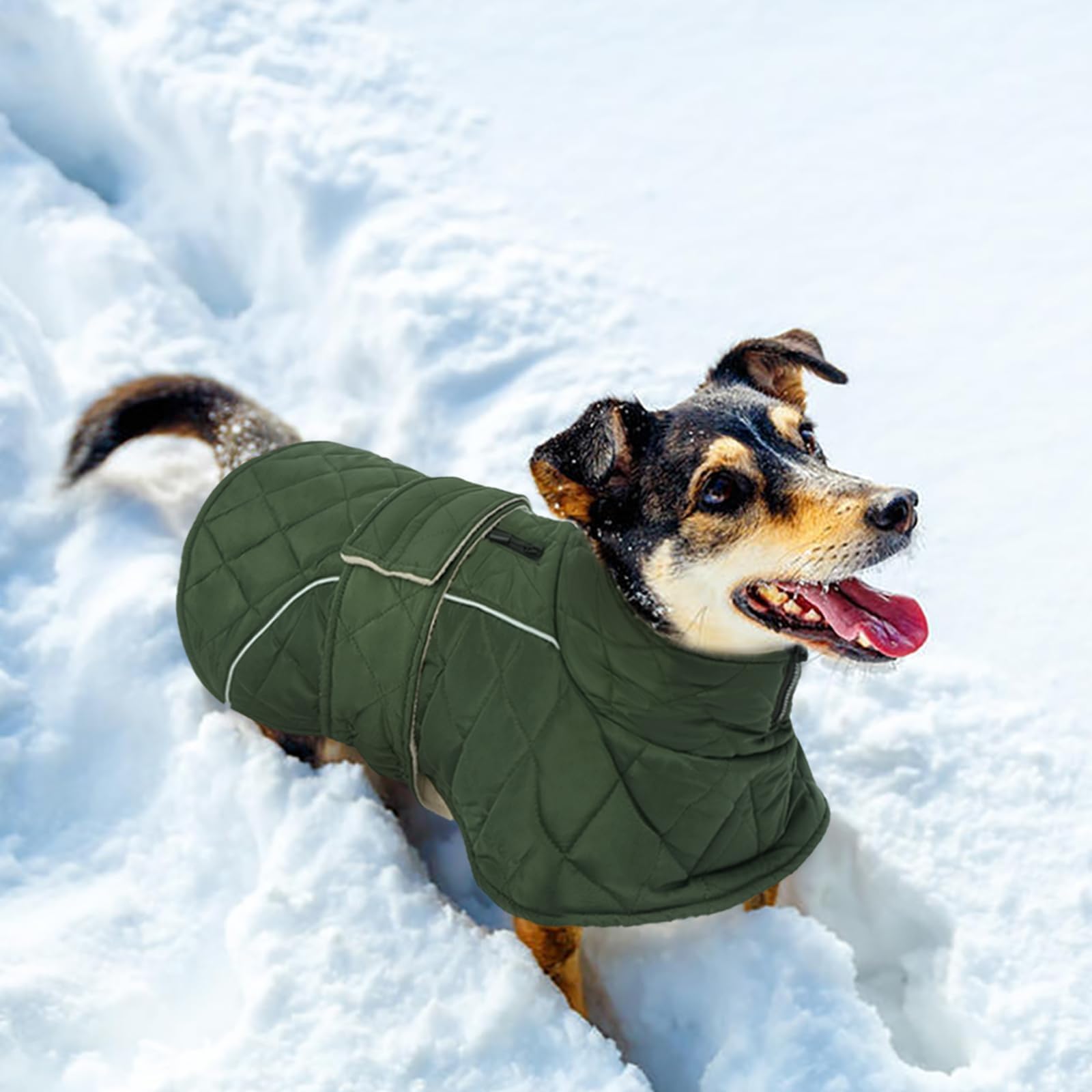 Kuoser green color keeps your dog visible and stylish in cold weather.