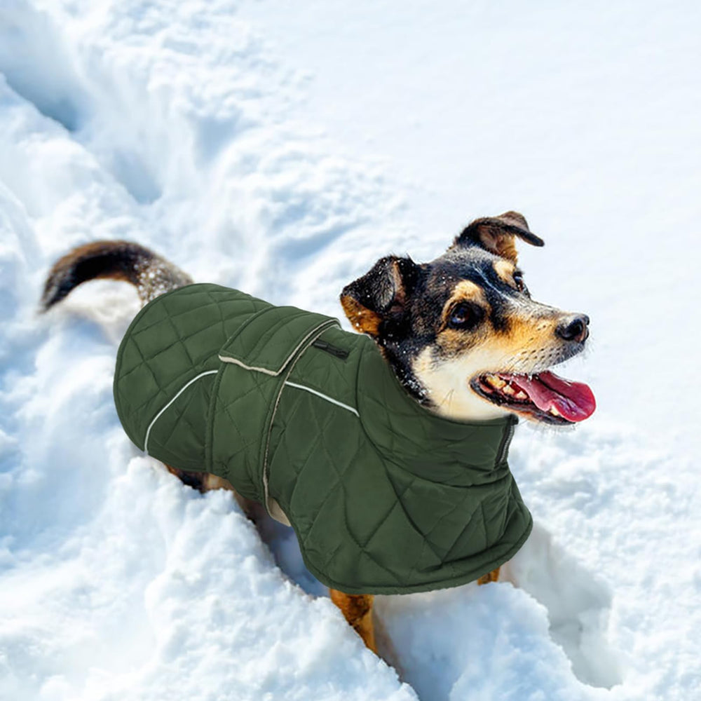 Kuoser green color keeps your dog visible and stylish in cold weather.