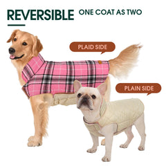 Kuoser magic-sticker closure coat ensures snug fit around neck and belly.