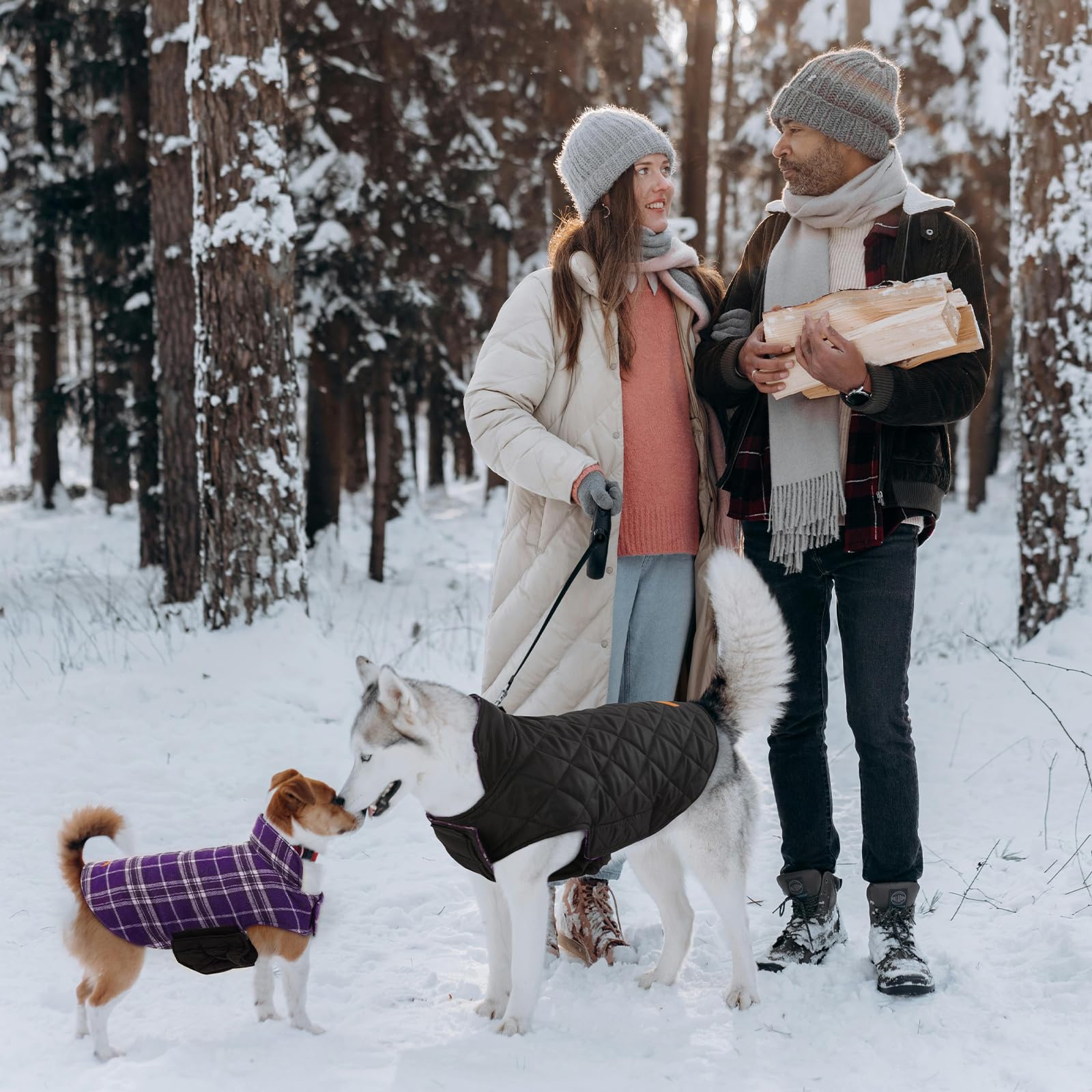 Kuoser 7-size range supports accurate sizing from small to large breeds.