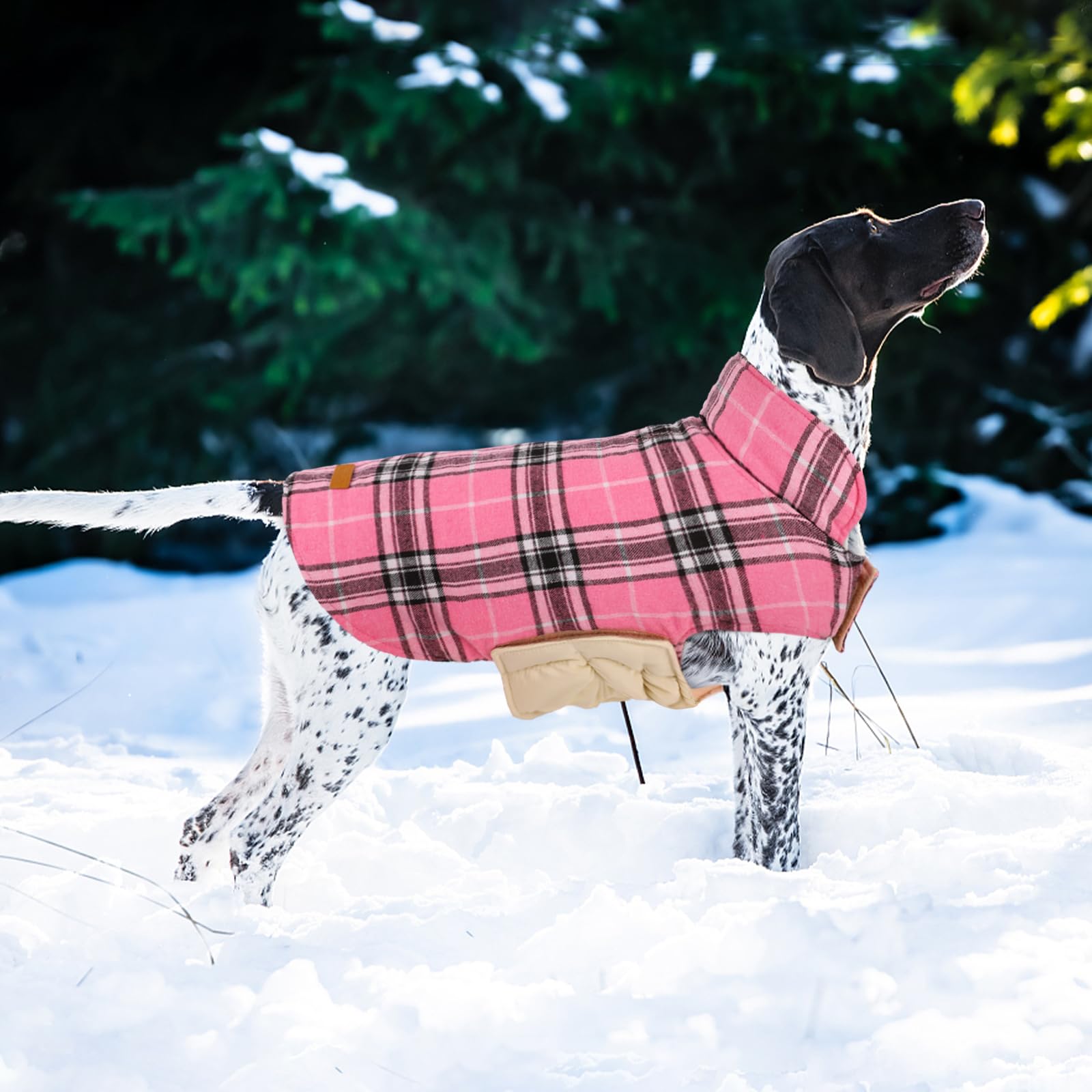 Kuoser measuring guide image shows how to measure for the perfect coat fit.