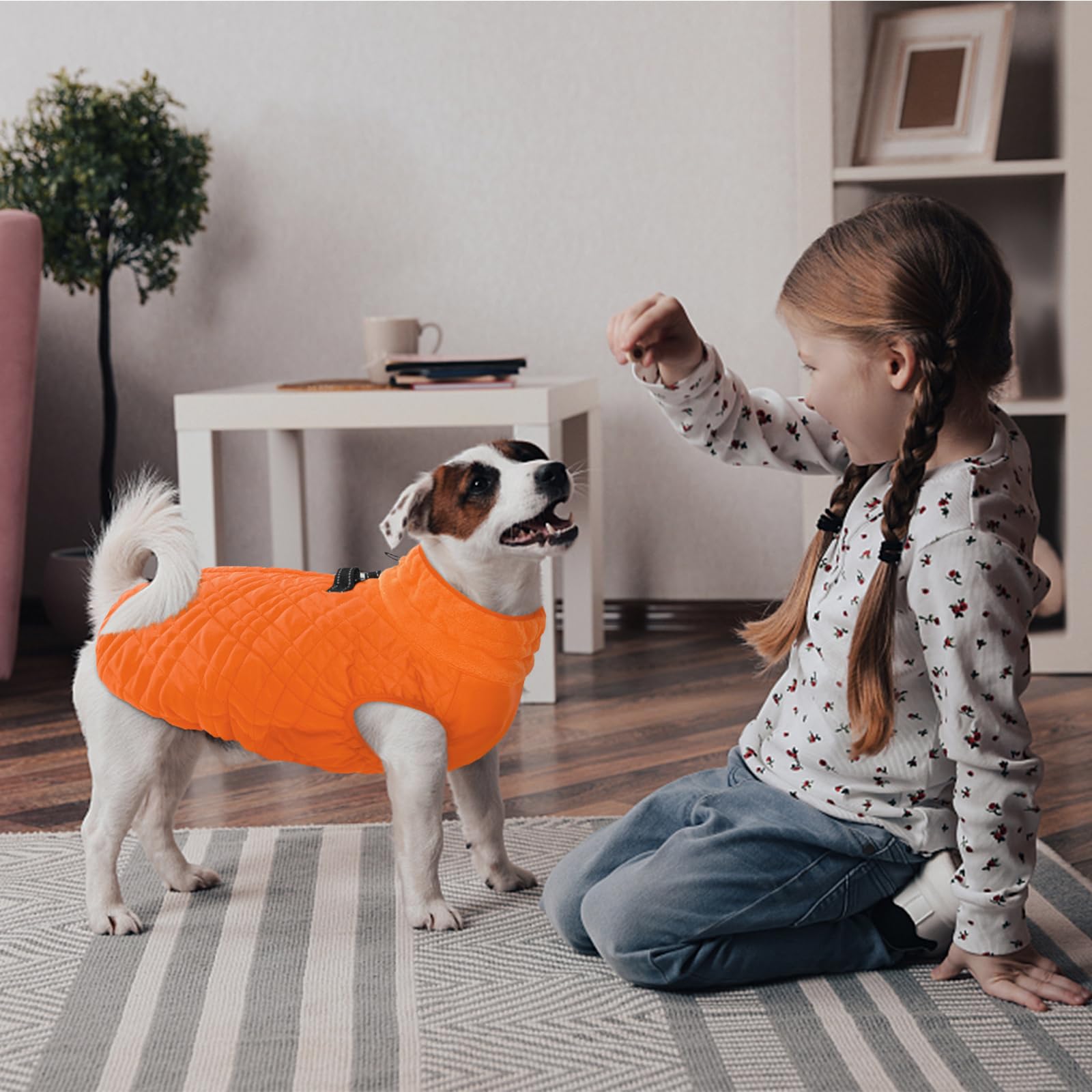 Kuoser orange winter coat for dogs enhancing visibility on outings.