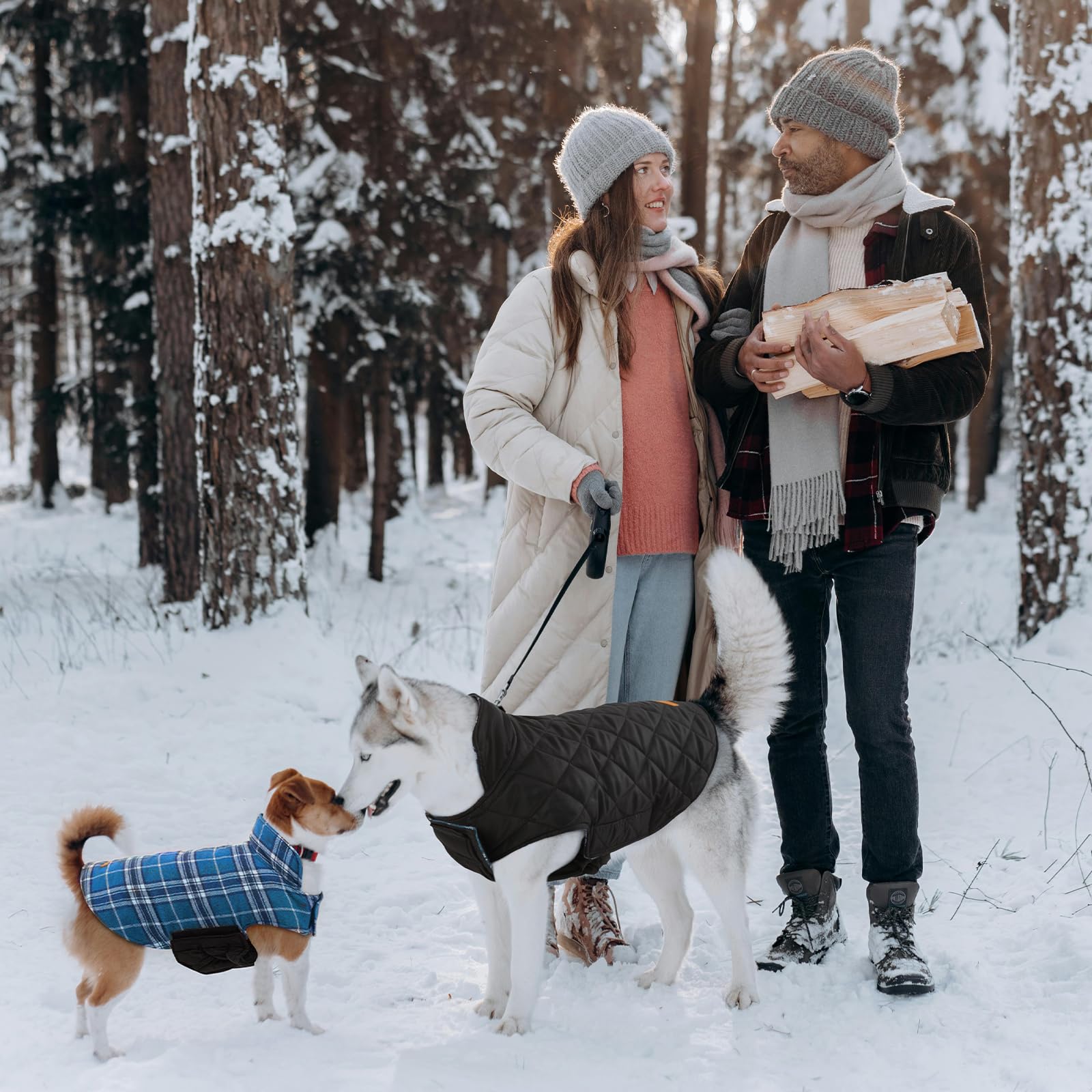 Kuoser plaid-pattern blue coat on dog demonstrates stylish cold-weather wear