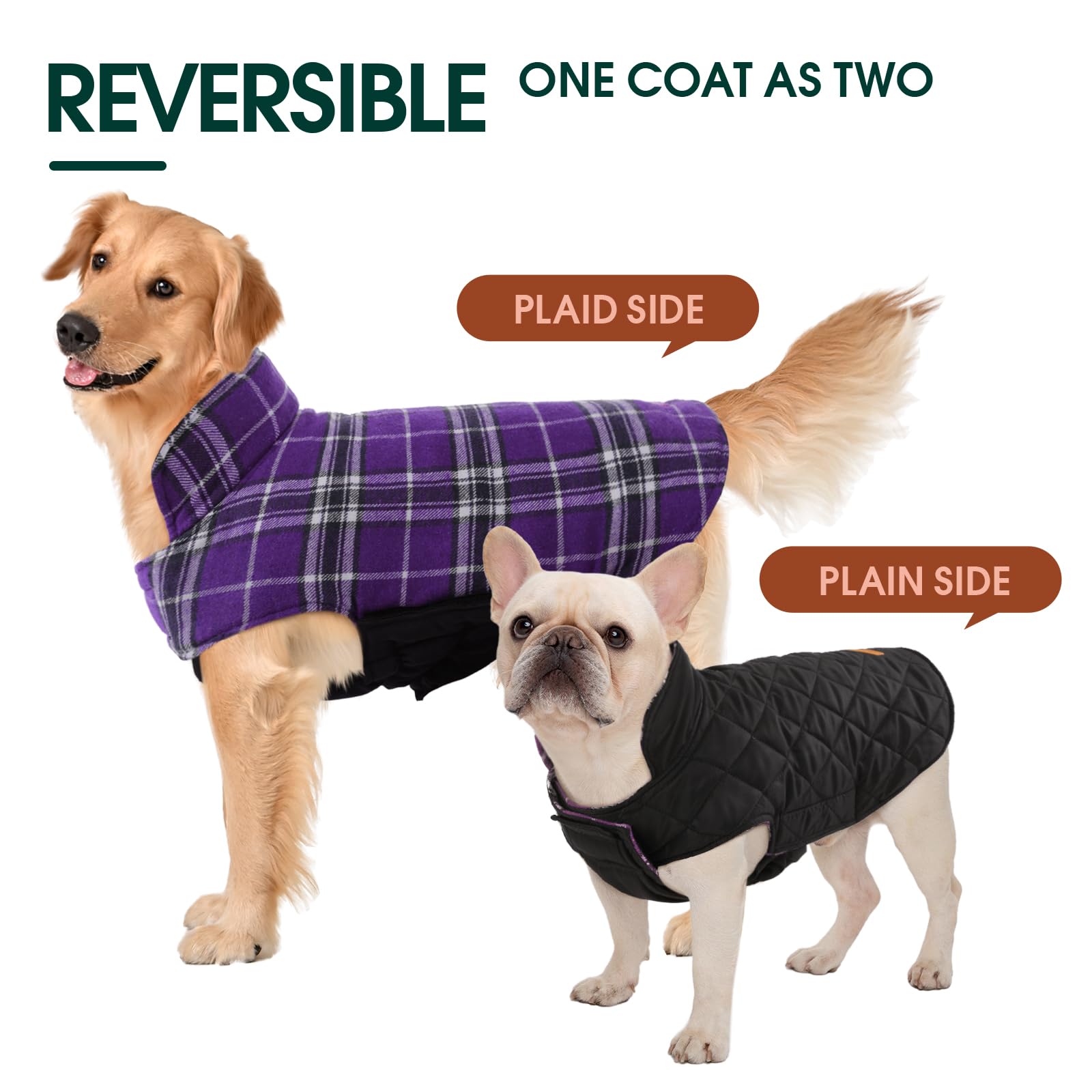 Kuoser plaid-pattern winter coat in purple adds classic style to cold-weather outings.