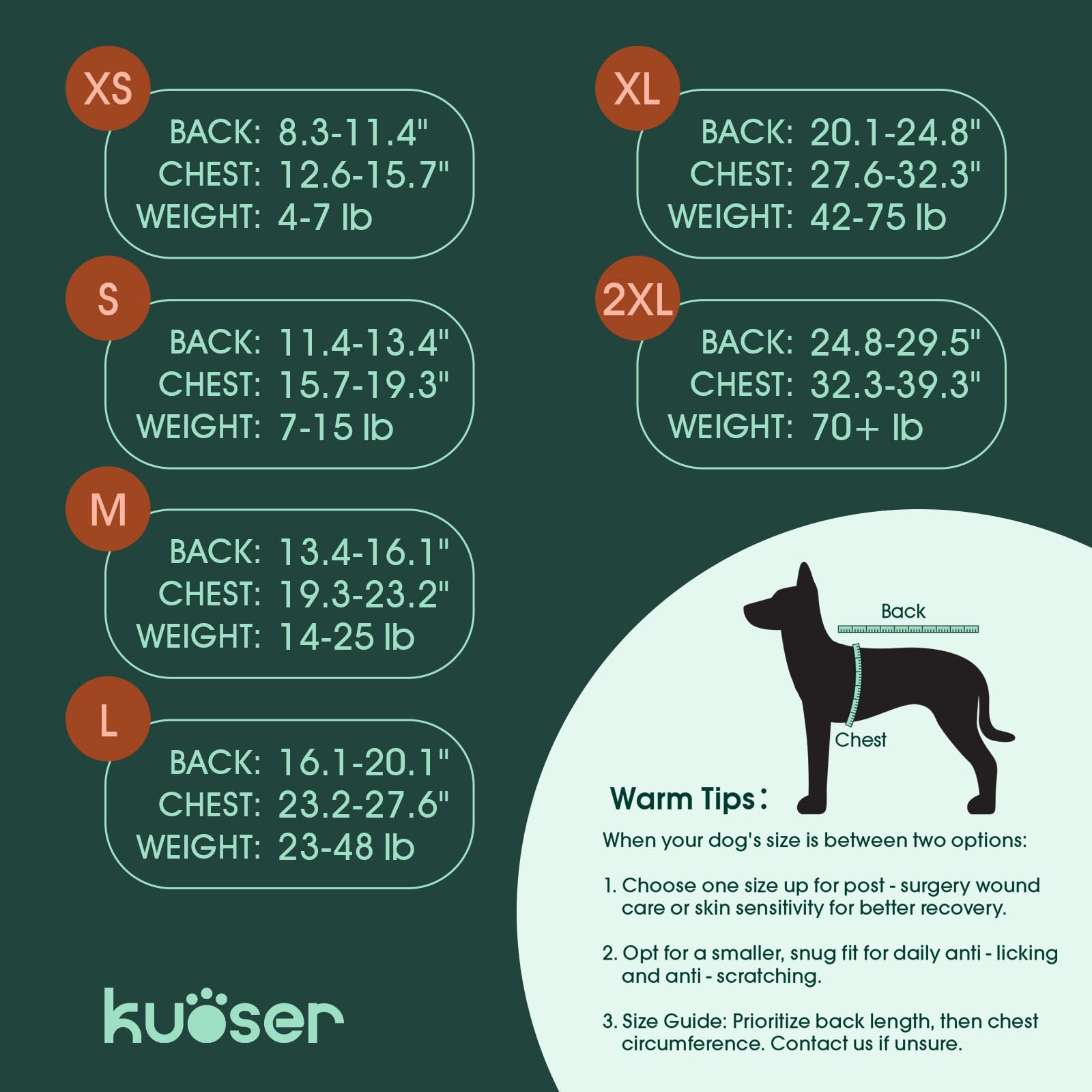 Kuoser Recovery Suit cat XS size demonstrates cat-friendly fit for small pets.