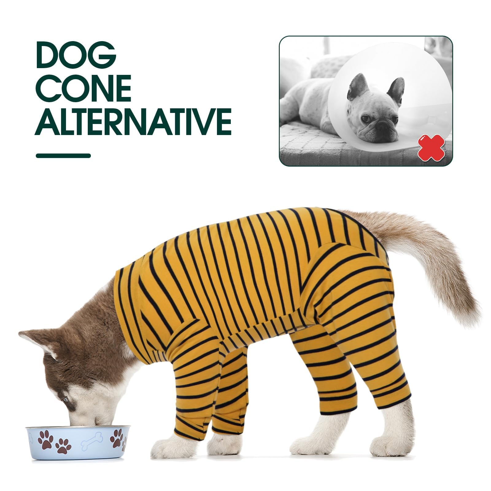 Dog wearing Kuoser suit as cone alternative during mealtime and rest