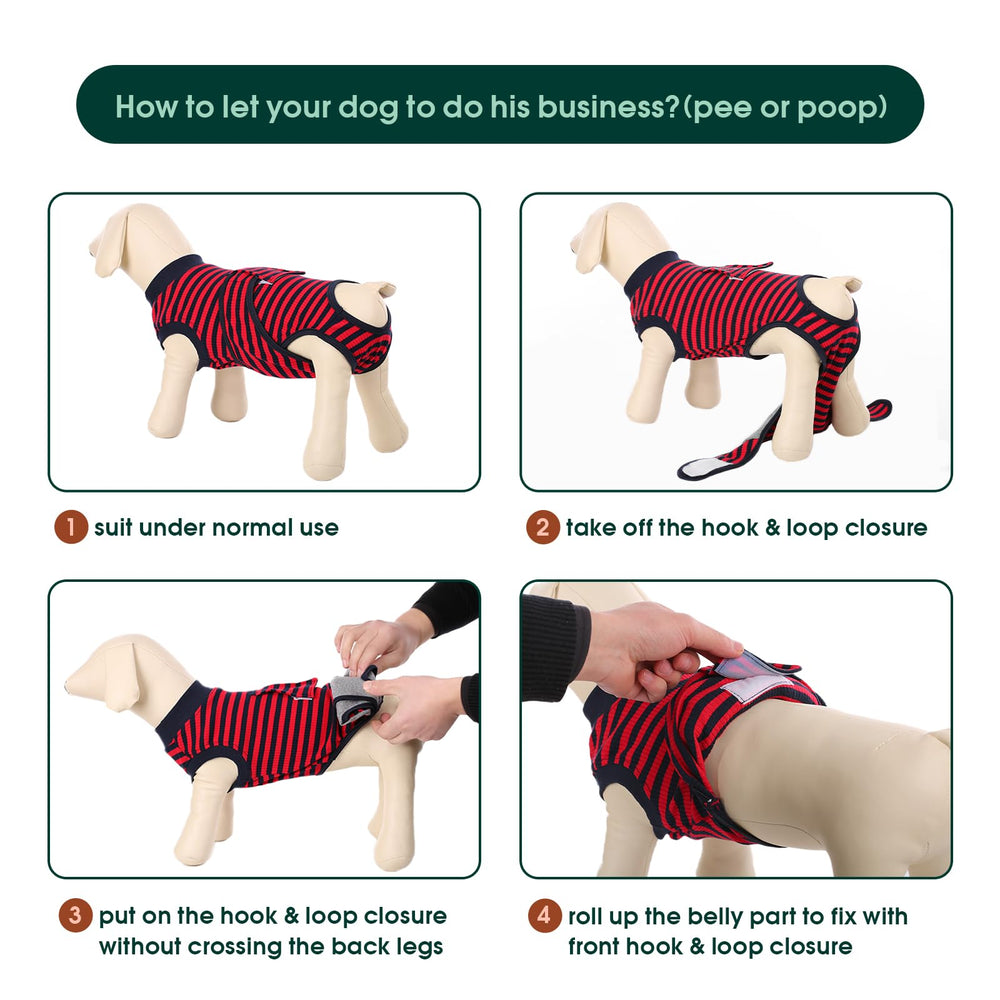 Kuoser recovery suit cone alternative shows an alternative to the cone during recovery.