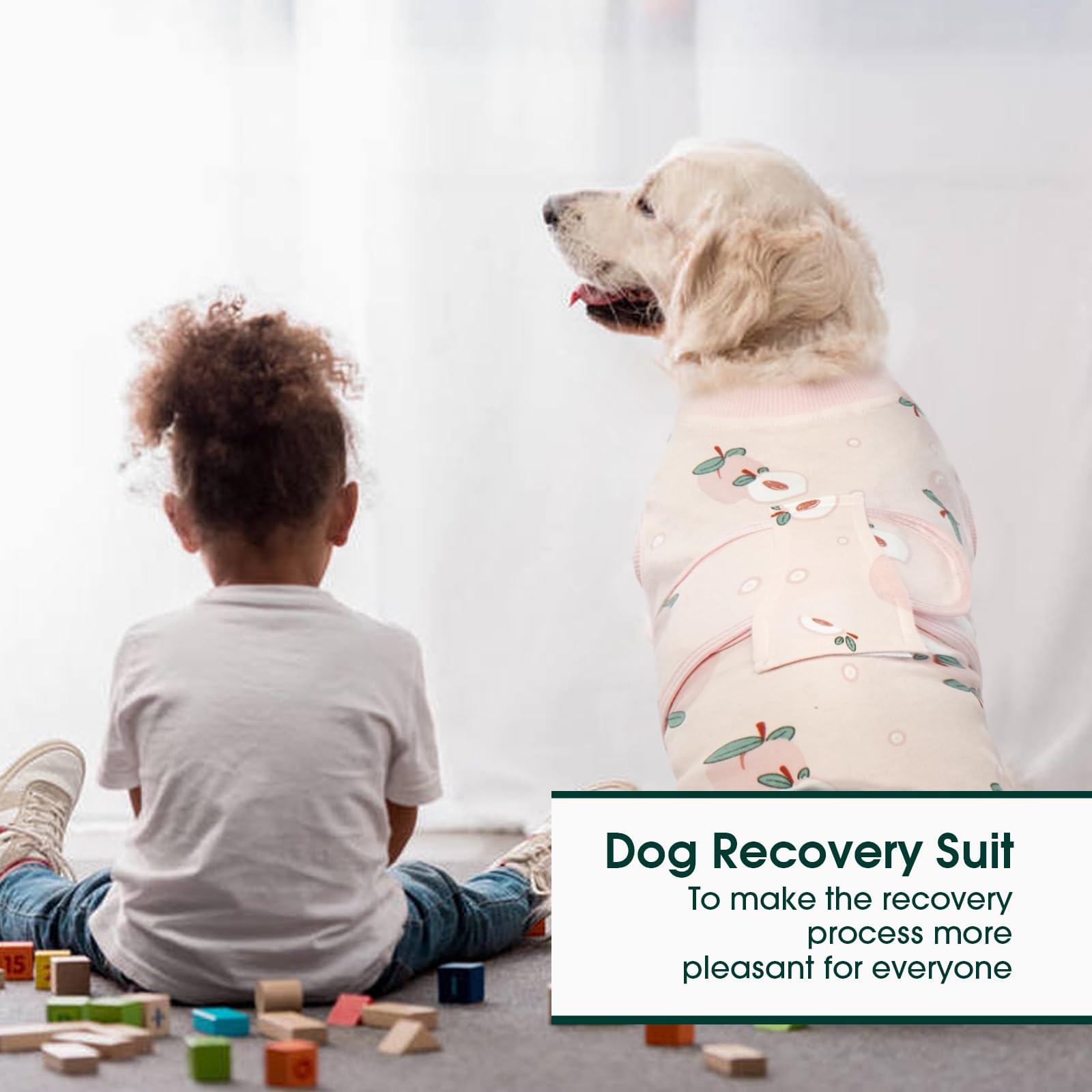 Kuoser Recovery Suit post-surgery use highlights versatile pet care.