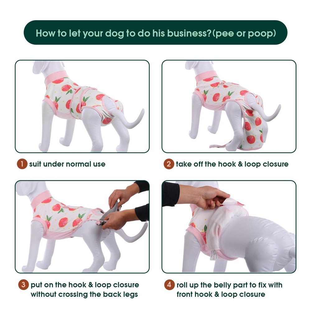 Kuoser recovery-suit-sizes-chart illustrates XS to XXL fit for dogs and cats.
