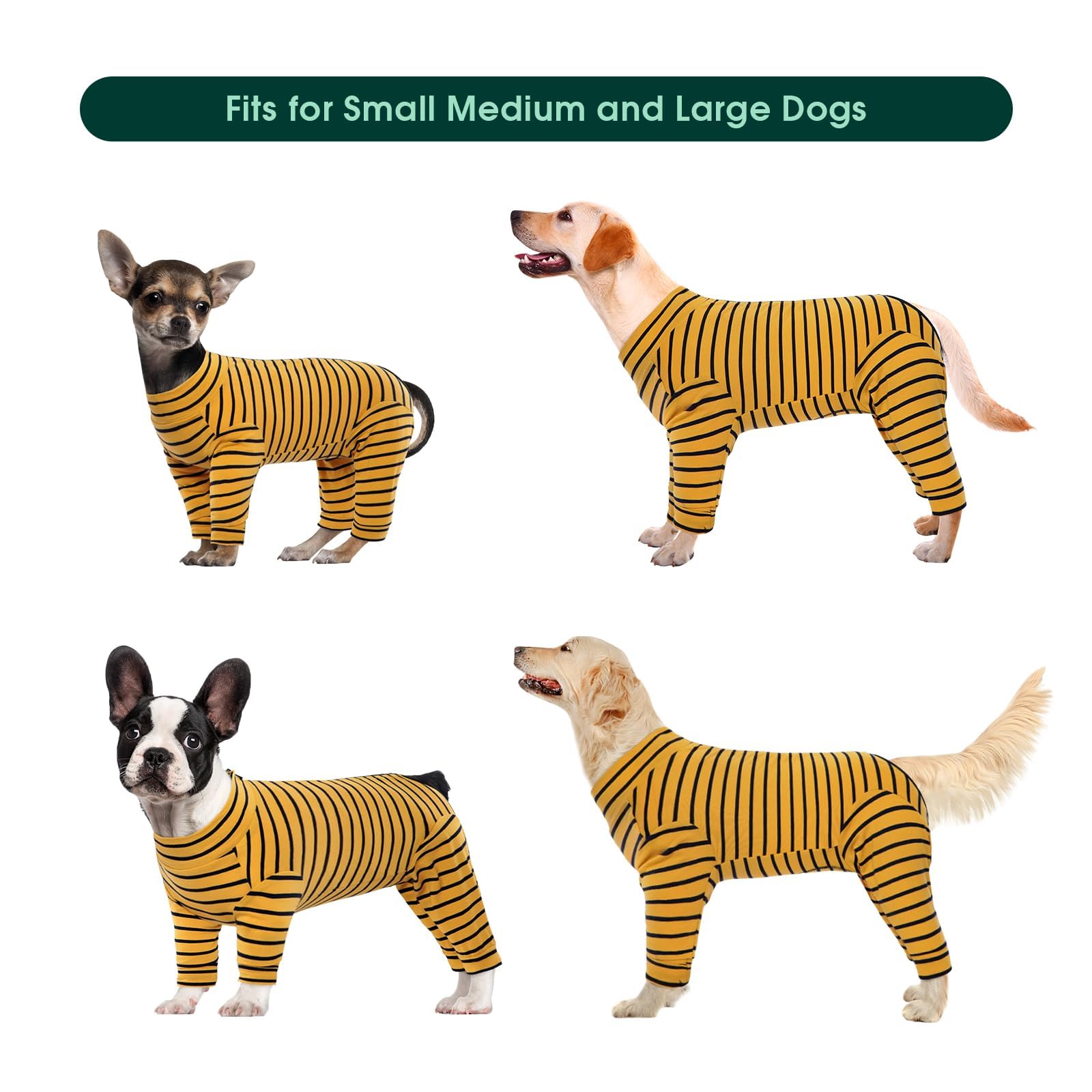 Bright yellow Kuoser recovery suit on dog highlighting color visibility