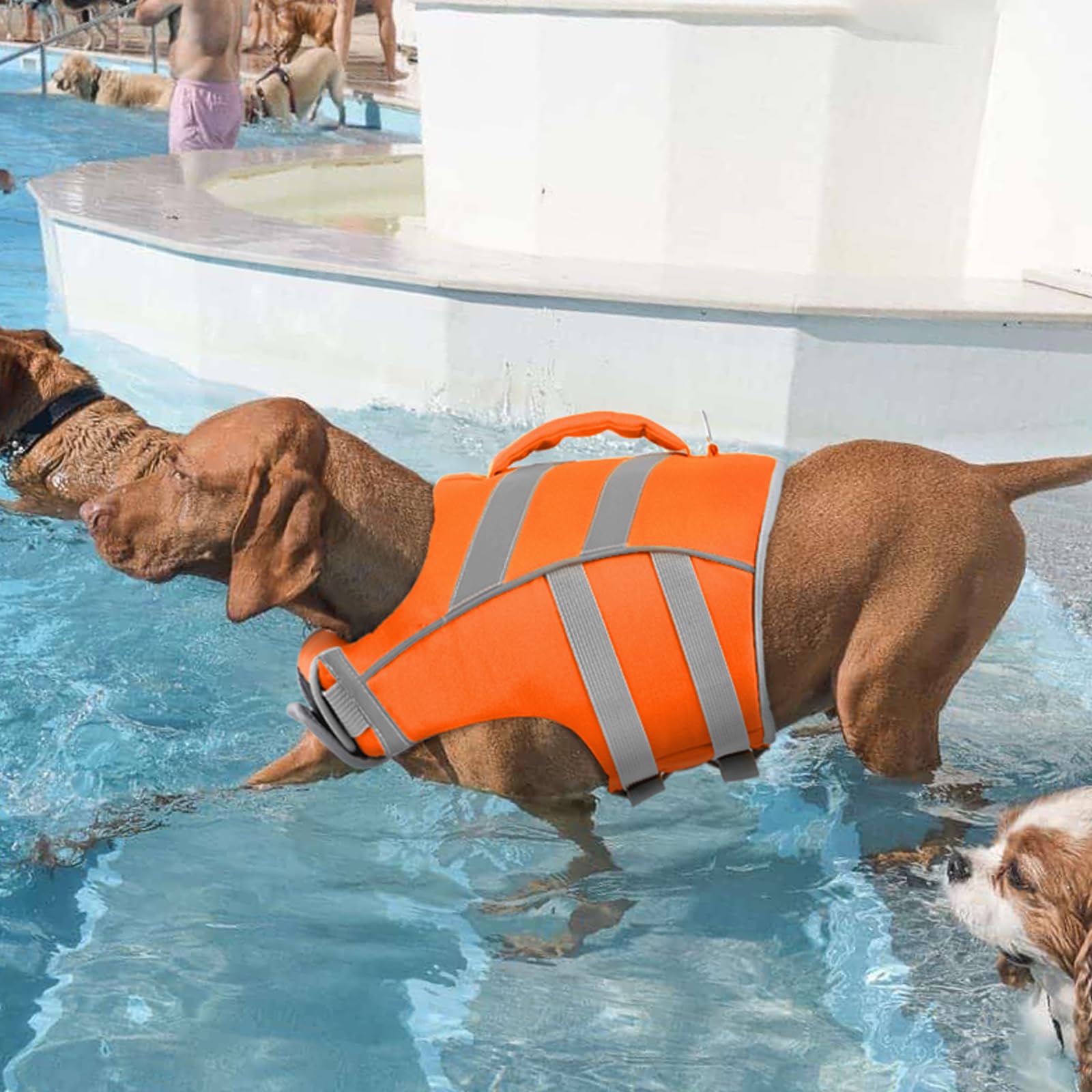 Kuoser life vest size guide view helps choose the right fit.