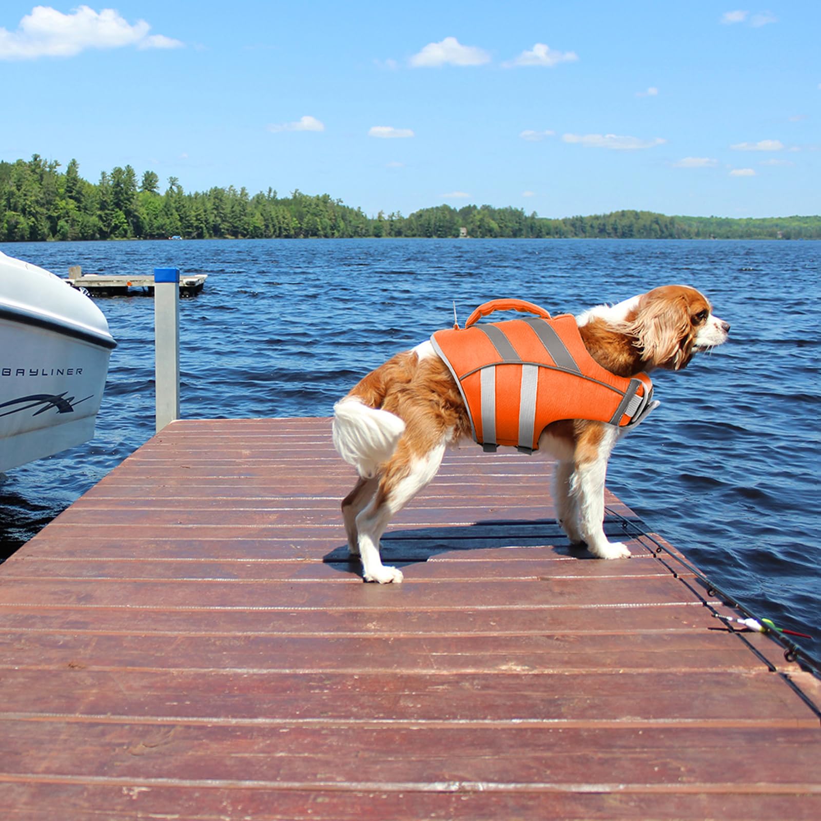 Kuoser Reflective Dog Life Jacket top-handle and leash hook for rescue.
