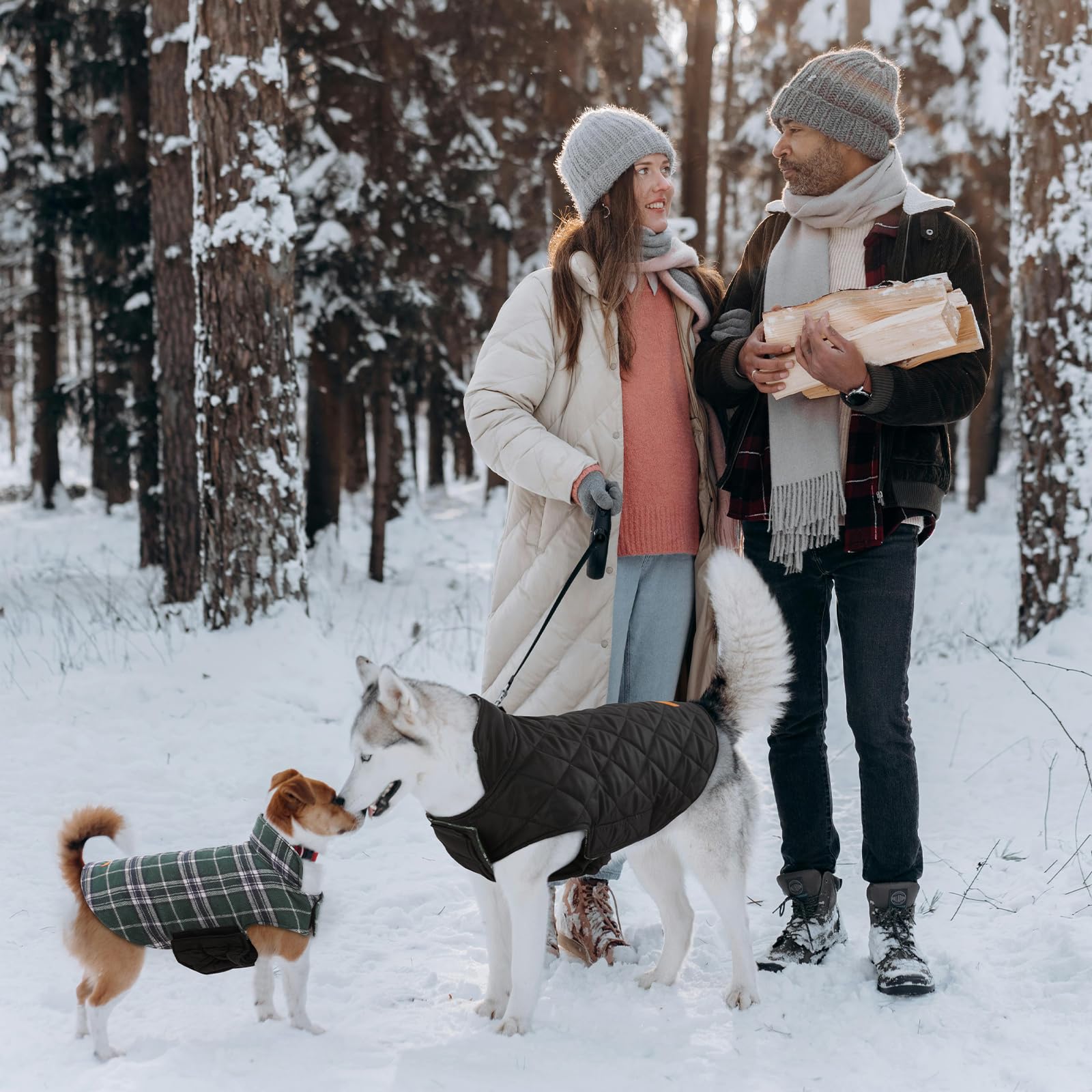 Kuoser seven-size range helping you find the perfect fit for various breeds.