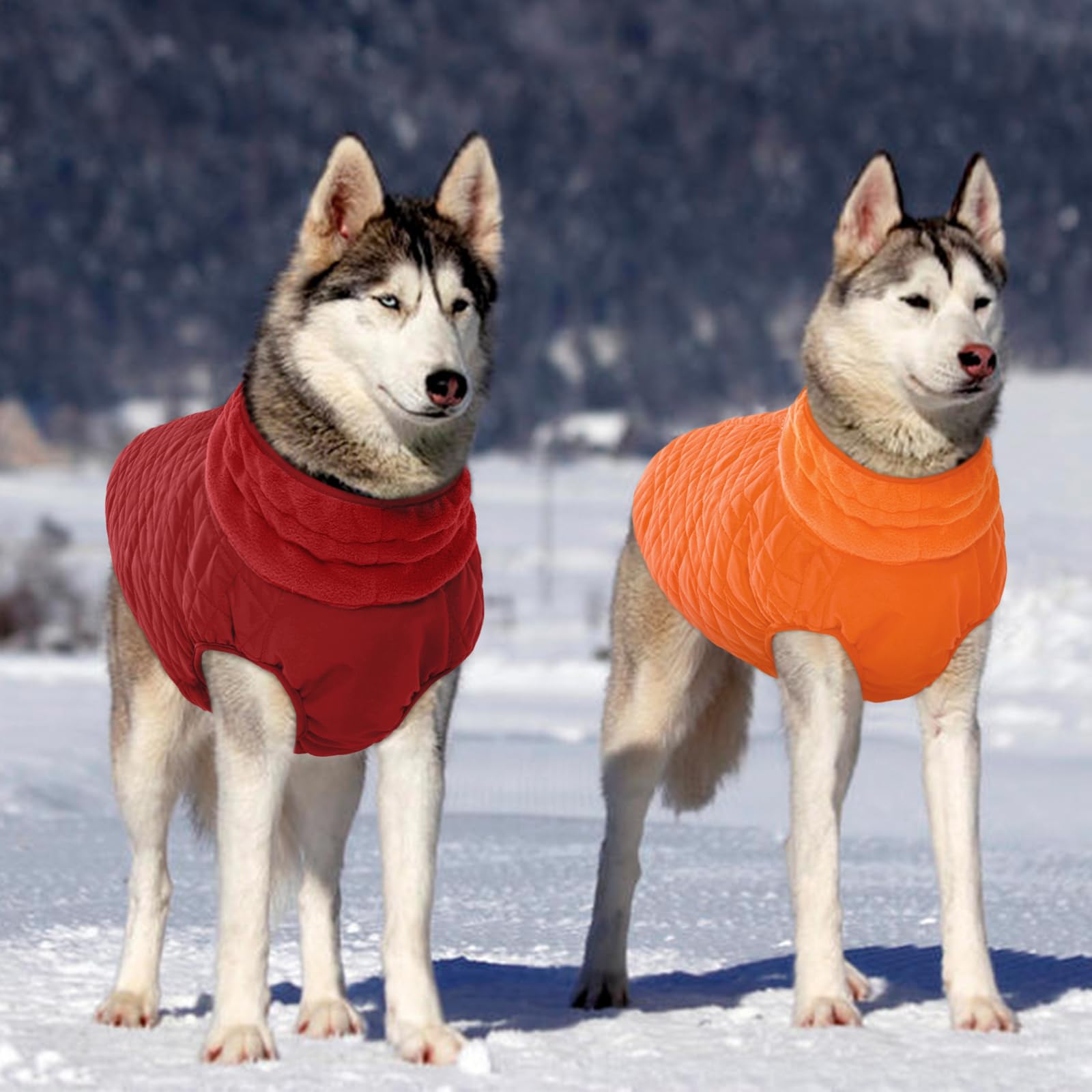 Kuoser size guide showing chest measurements for small dogs.