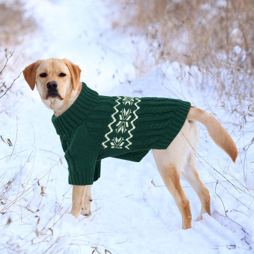 Kuoser Small Dog Sweater Green S model wearing showcases festive style suitable for holidays.