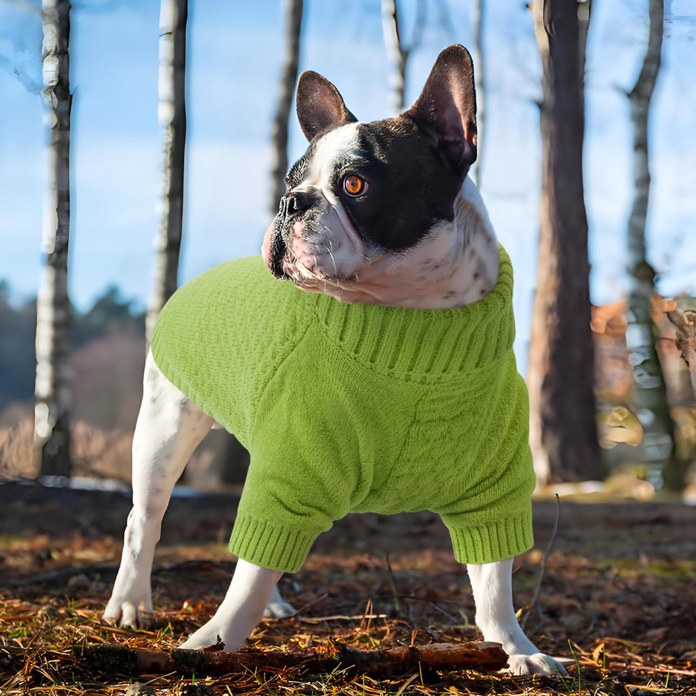 Kuoser suéter verde para perro grande, ajuste en varias tallas.