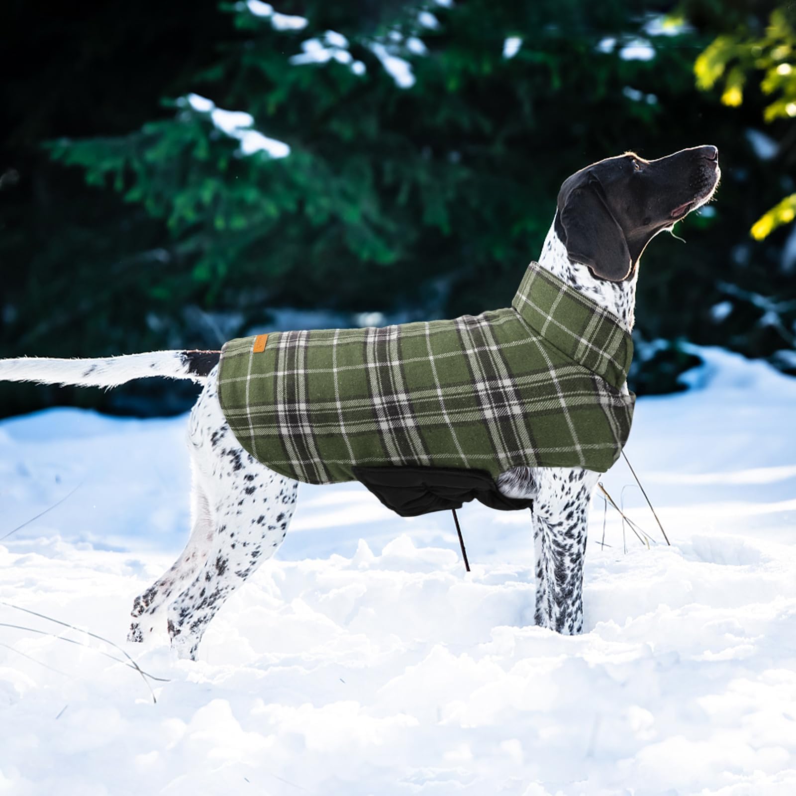 Kuoser vintage plaid pattern green adds classic style to cold-weather outings