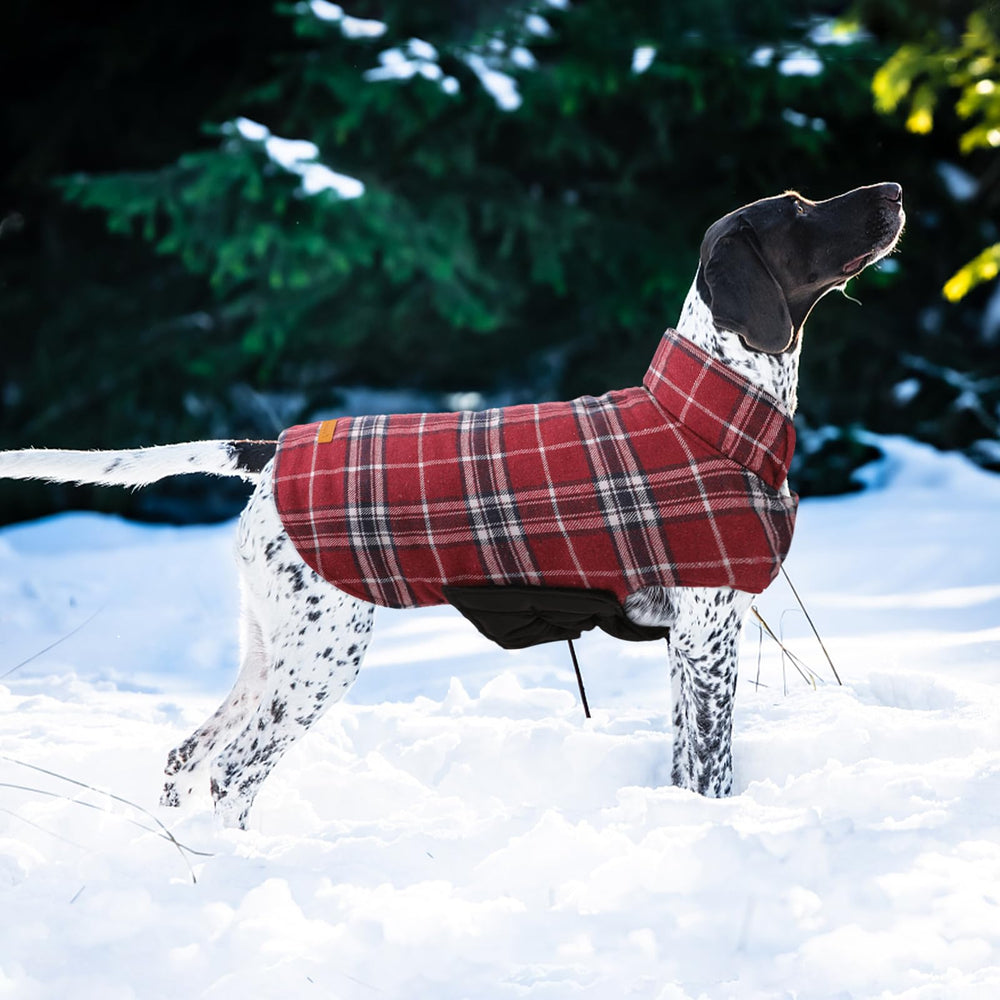 Kuoser warm dog coat plaid pattern offers stylish protection for cold outings.