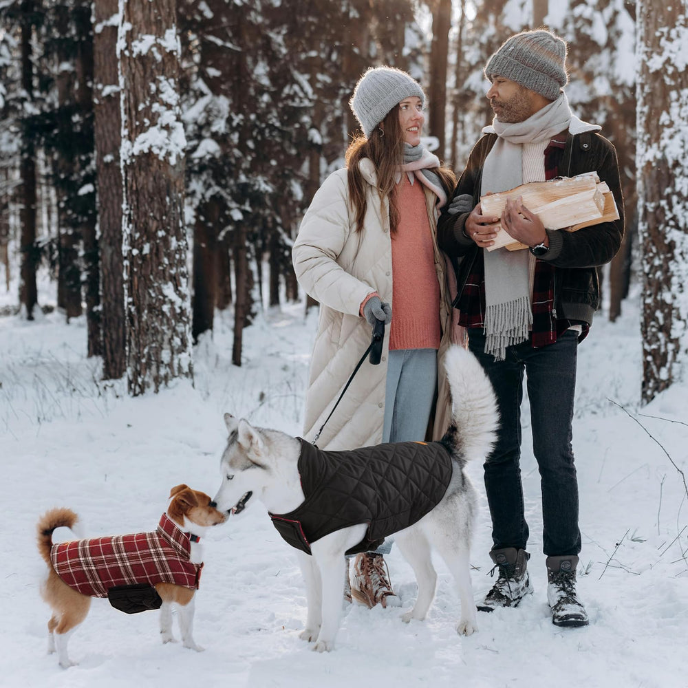 Kuoser warm dog coat red color variant enhances winter adventures.
