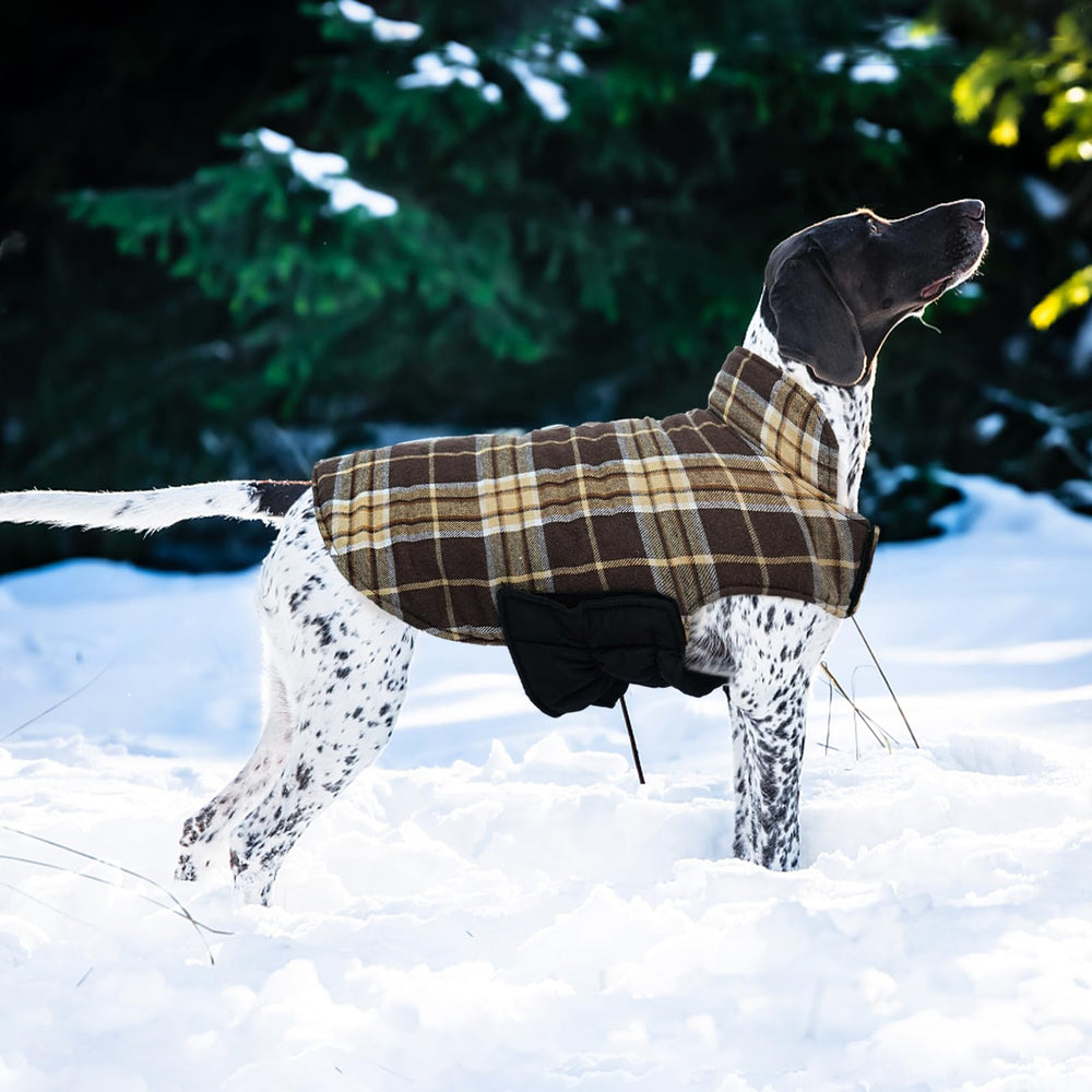 Kuoser seven sizes fit breeds from small to large for reliable coverage