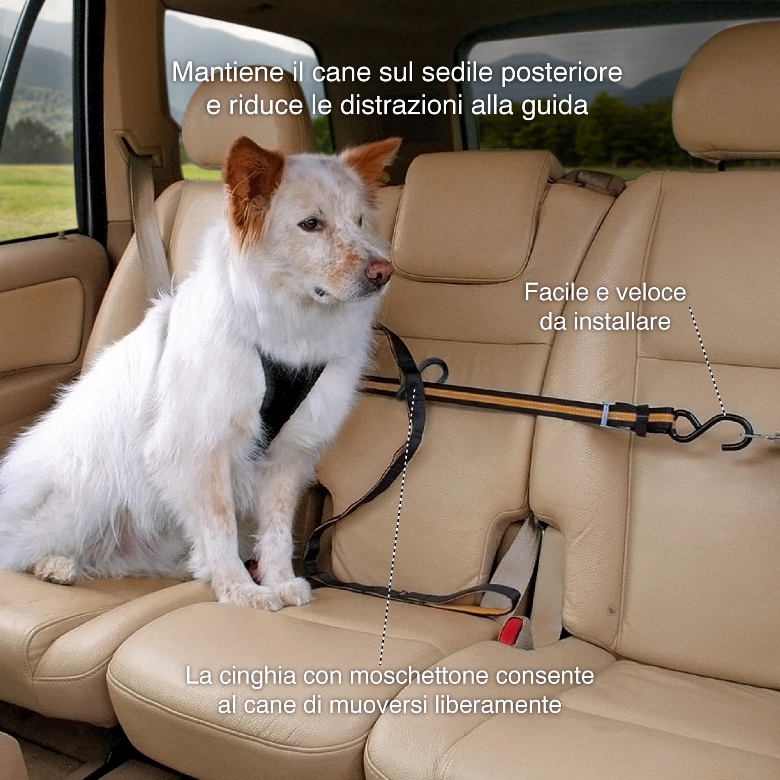 Kurgo Auto Zip Line installation shows quick mounting between seatbelts for easy setup