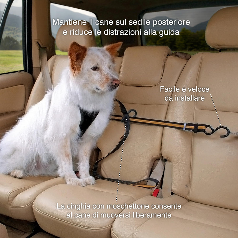 Kurgo Auto Zip Line installation shows quick mounting between seatbelts for easy setup