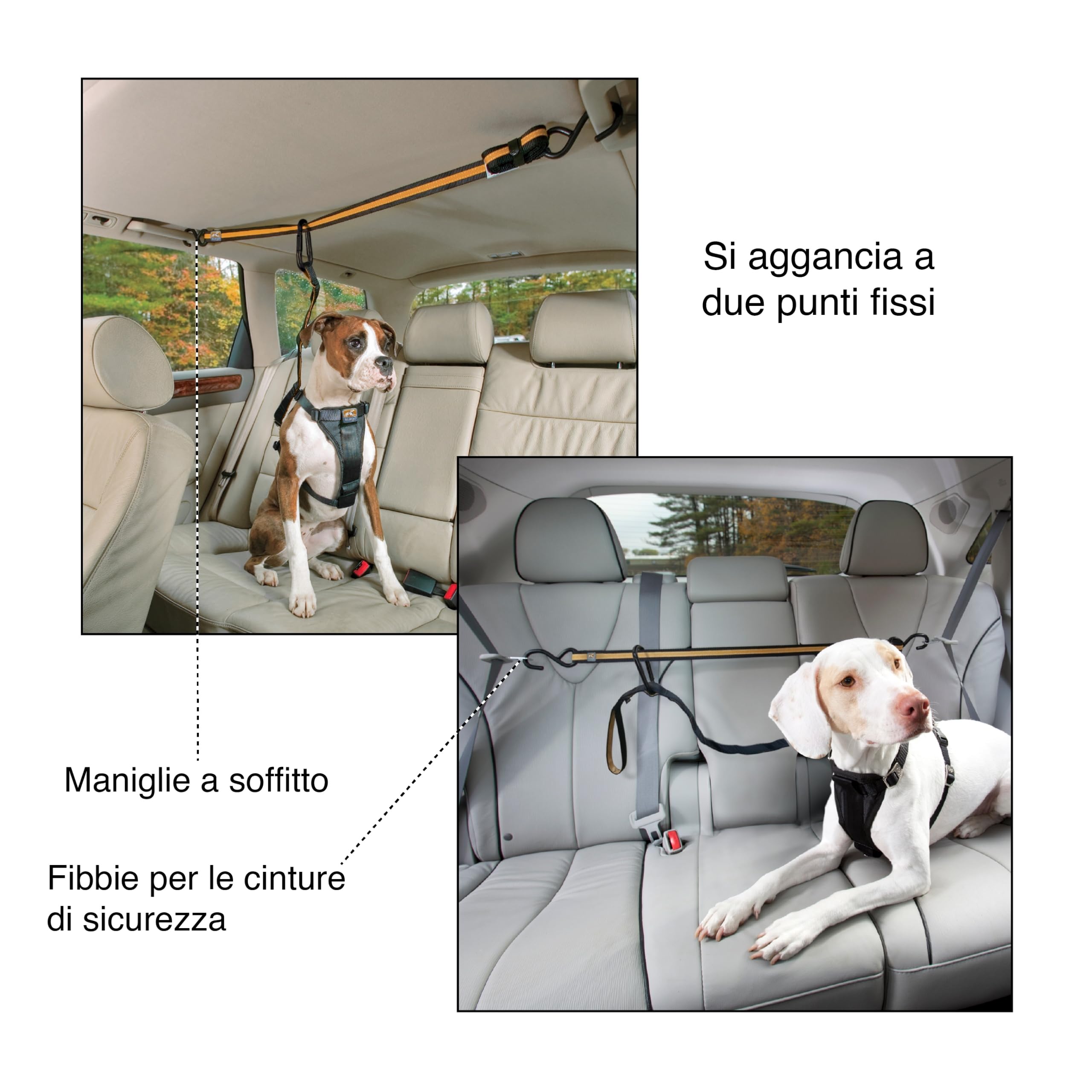 Kurgo Auto Zip Line tether doubles as a short lead for entry and exit