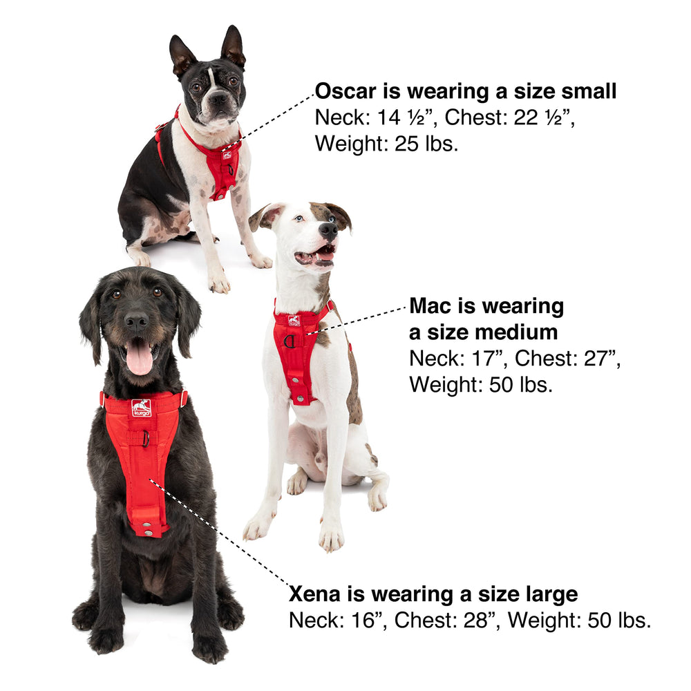 Kurgo travel tether and carabiner attached to harness for safe car rides.
