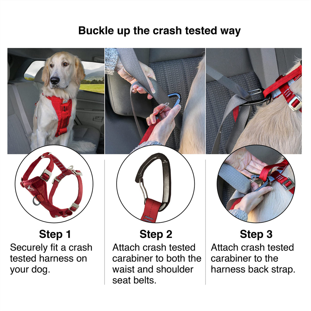 Kurgo Enhanced Strength harness steel buckles close-up for rugged durability.