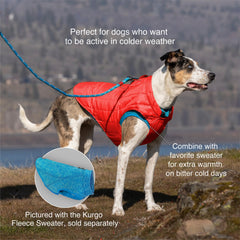 Kurgo Loft Dog Jacket reflective trim enhances visibility on night walks