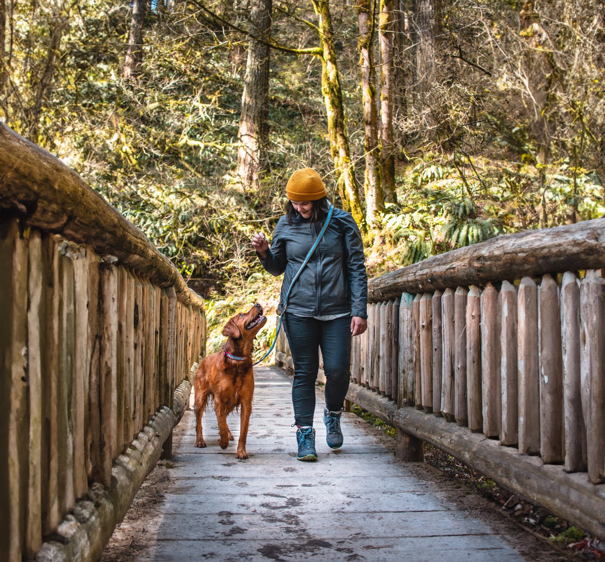 Kurgo Quantum double dog walker for walking two dogs together