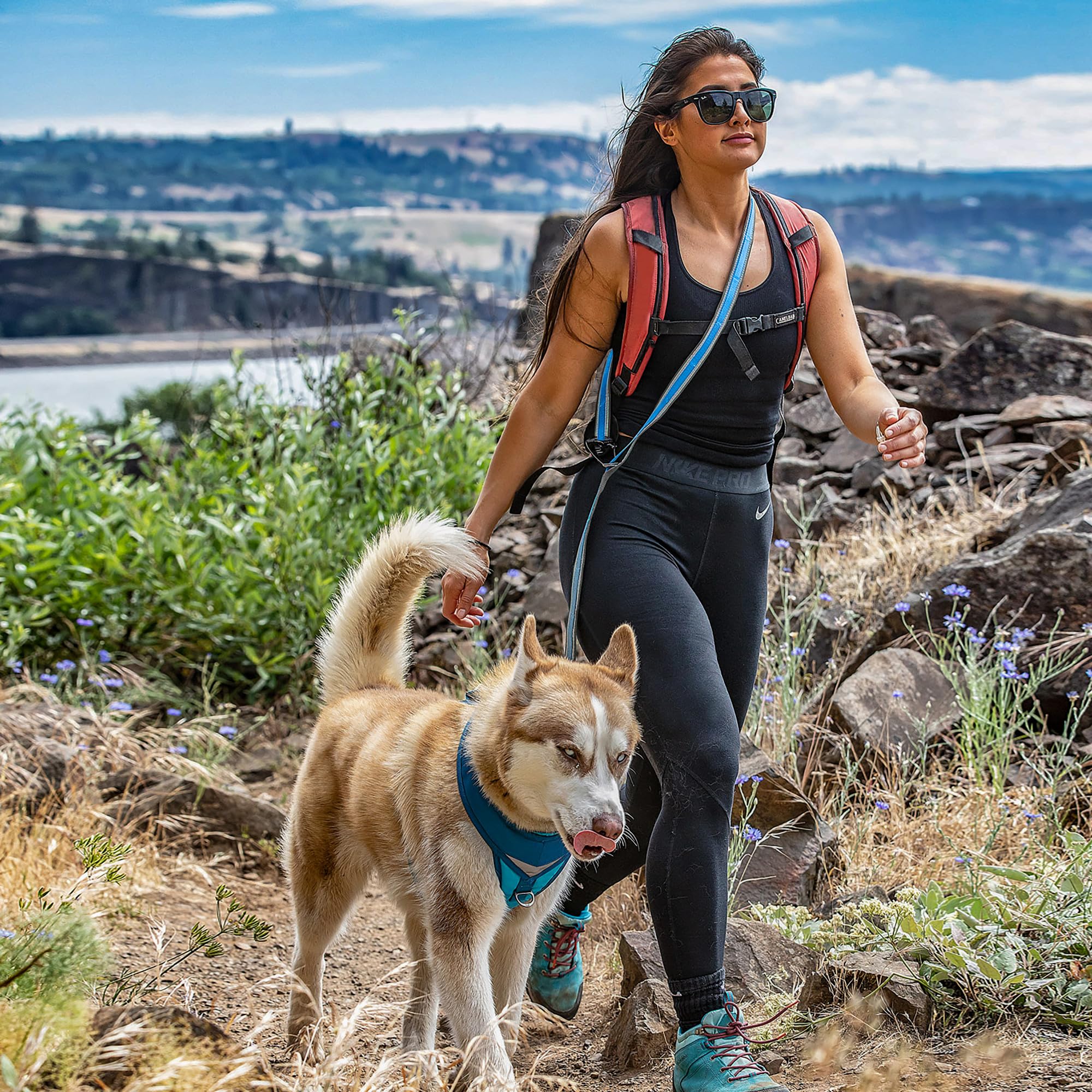 Kurgo Quantum web keeper with stretchy bungee for gear on adventures
