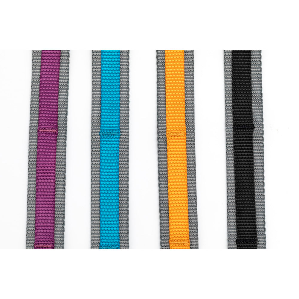 Kurgo Quantum reflective stitching boosts visibility during dawn or dusk walks.