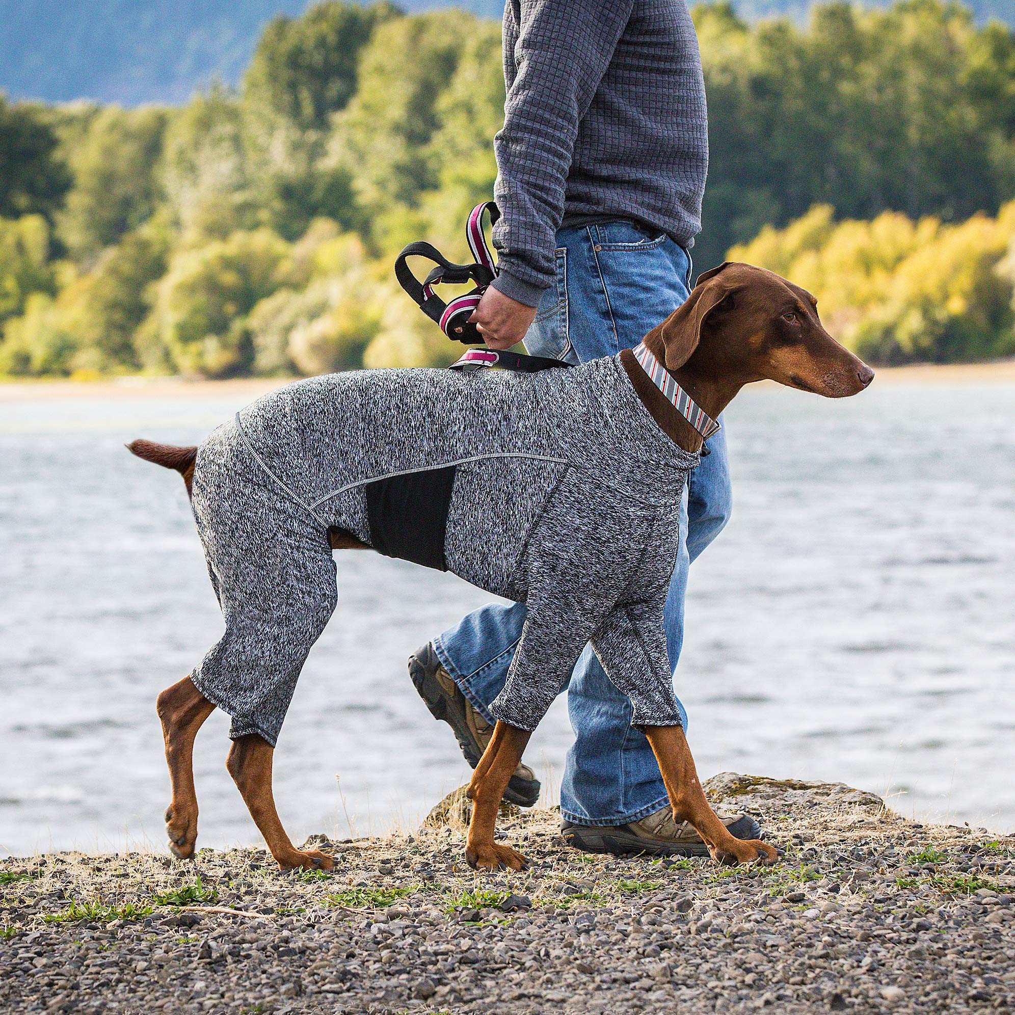 Kurgo Stowe Base Layer machine-washable fabric simplifies cleanup after outdoor adventures.