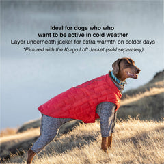 Kurgo Stowe Base Layer open belly design eases bathroom breaks on the go.